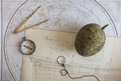 Bounty-Story-Norfolk-Island-Breadfruit-and-plans-joined-1200px