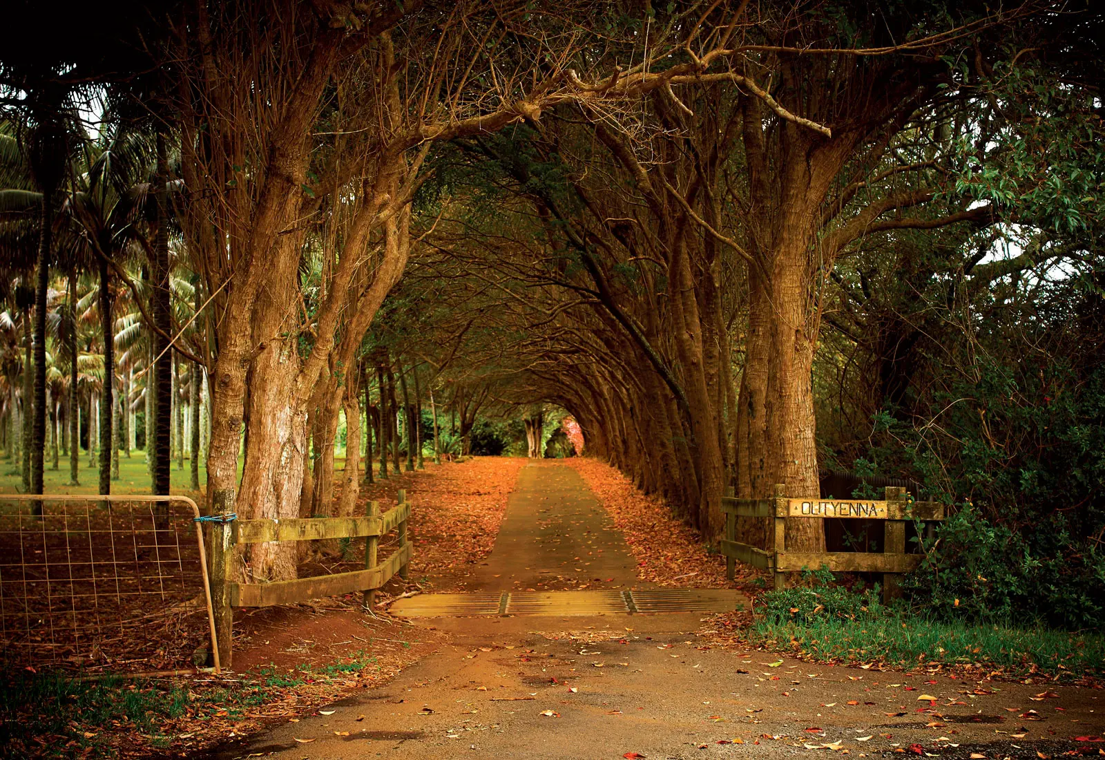 Out Yenna, Colleen McCullough's Norfolk Island Home