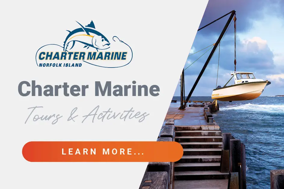 Discover-Norfolk-Island-charter-marine-partner-page-link
