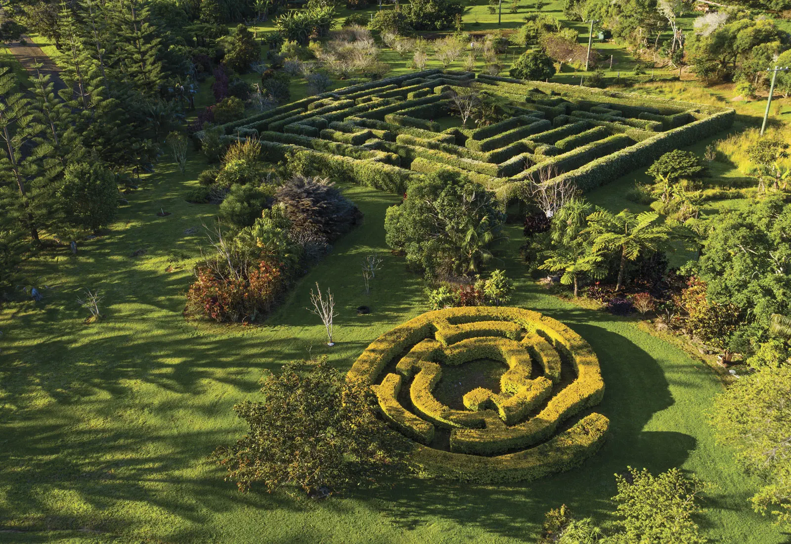 Auraville | Norfolk Island Tours